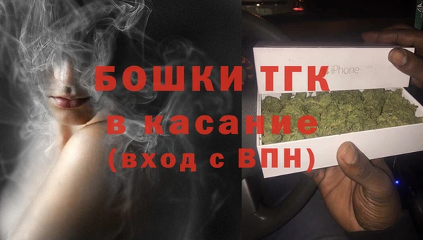 гидра Алексеевка
