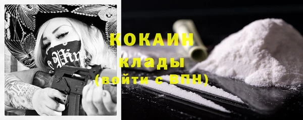 гидра Алексеевка