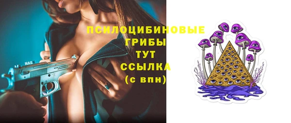 гидра Алексеевка